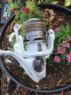 Abu Garcia VERITAS fishing Combo/Braid Lines...NEW