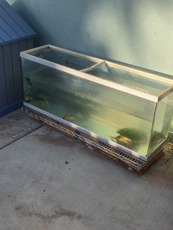 75 gallon turtle tank