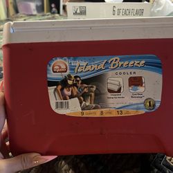 Small Cooler In Great Condition No Cracks