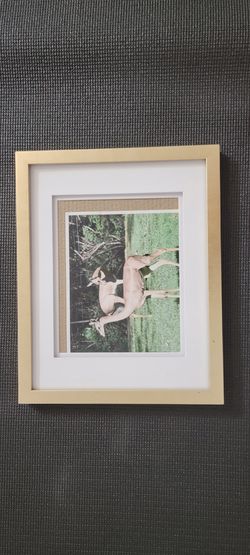 Phot Frames