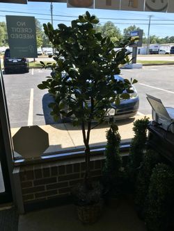 New Artifical Olive Tree