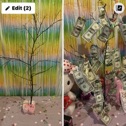 Money tree branch money, not included $10