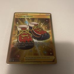 Pokémon Trekking Shoes 215/189