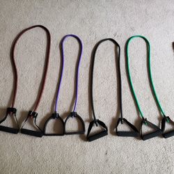 Exercise Bands