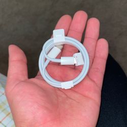 Apple USB-C Cable