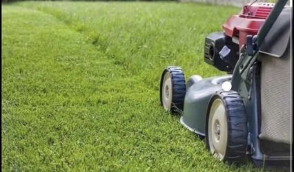 Grass Cutting