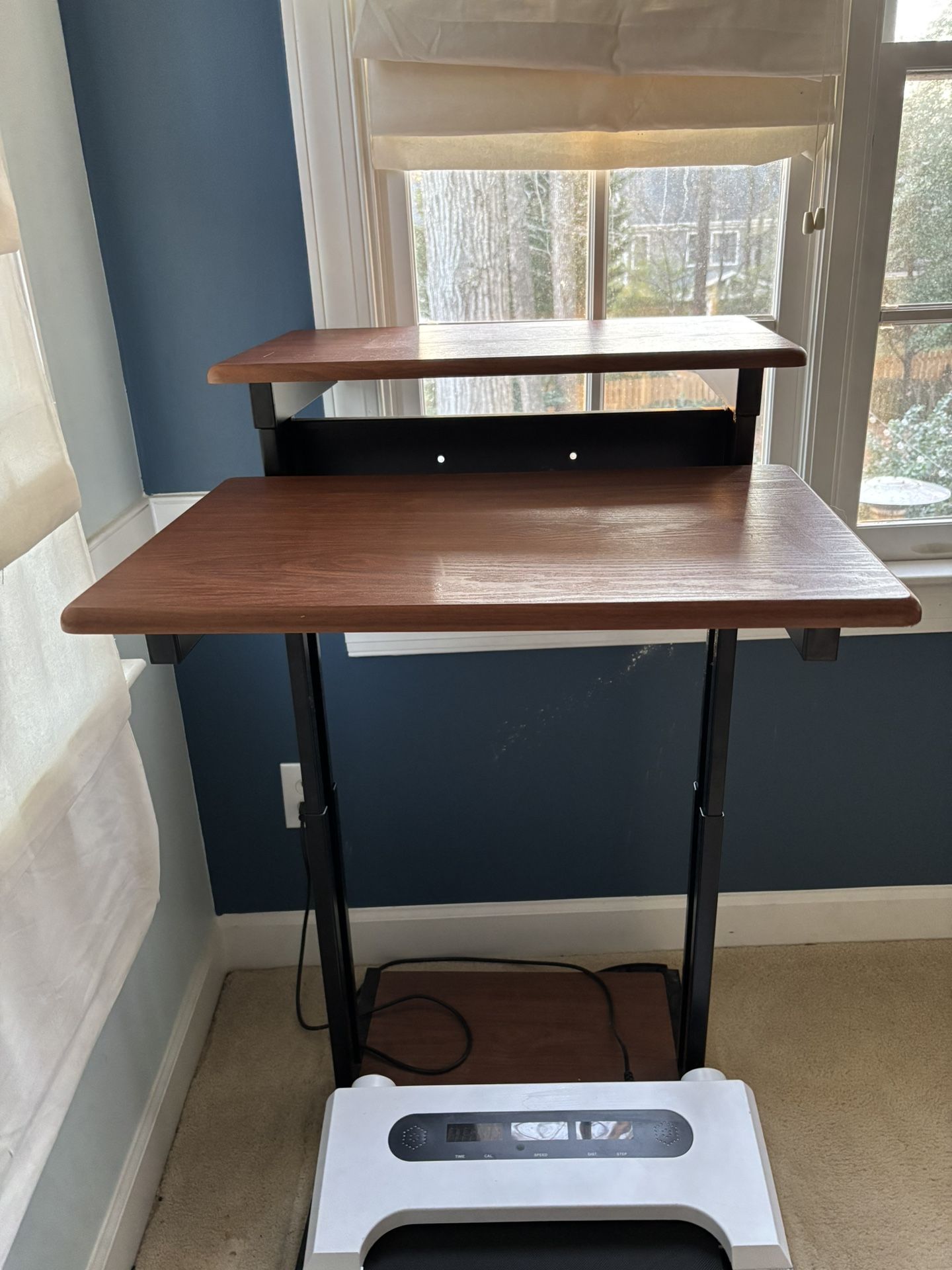 Standing Desk