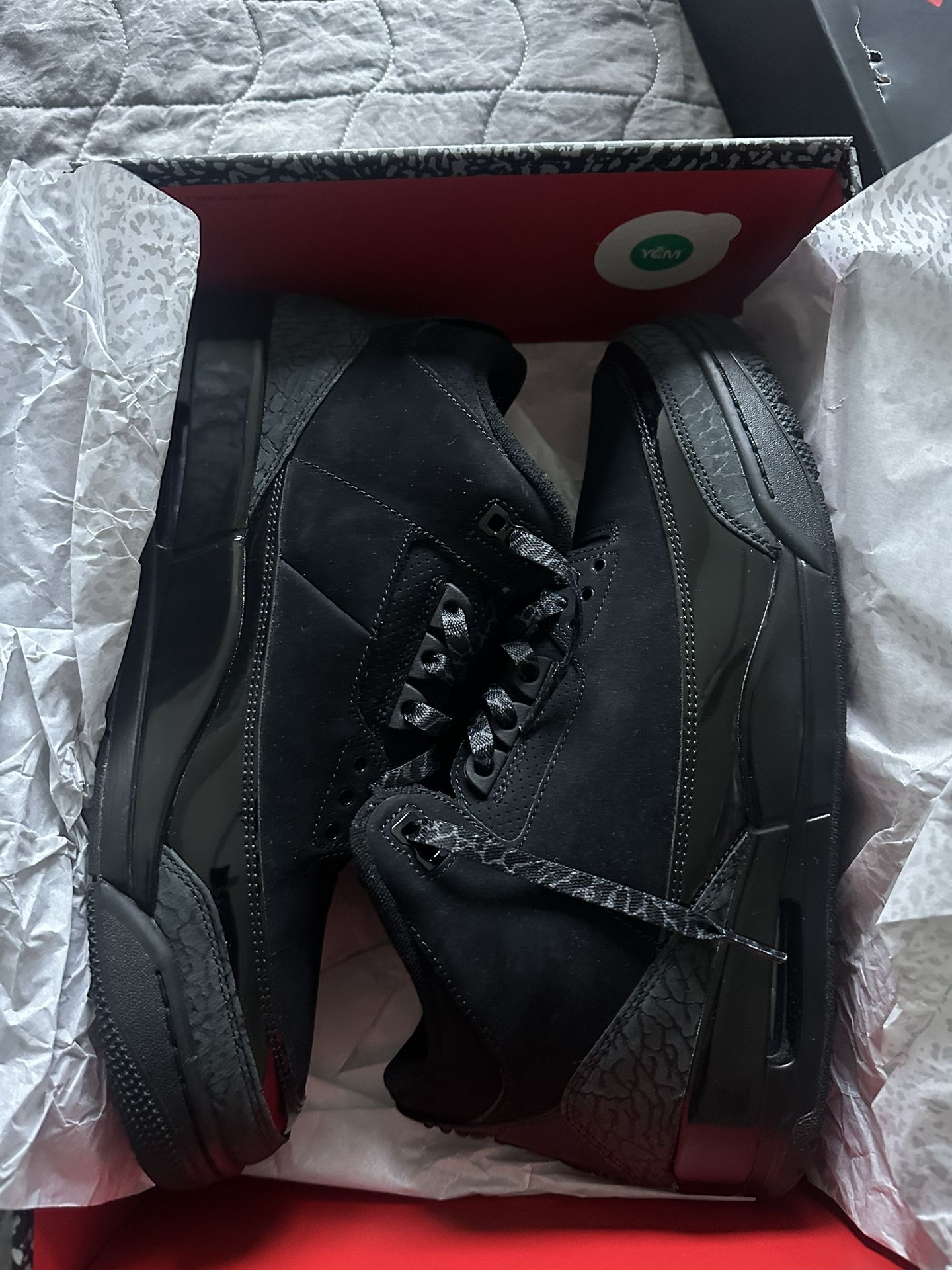 Black Cat 3’s Size 12