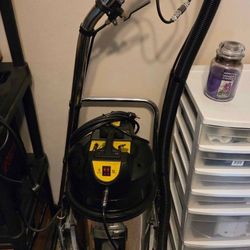 Professional Carpet Cleaner 