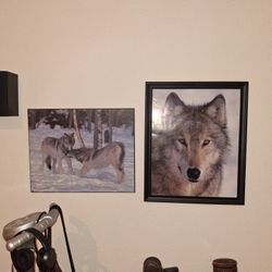 Wolves