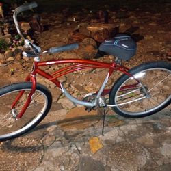 Schwinn Panther 