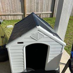 Dog House