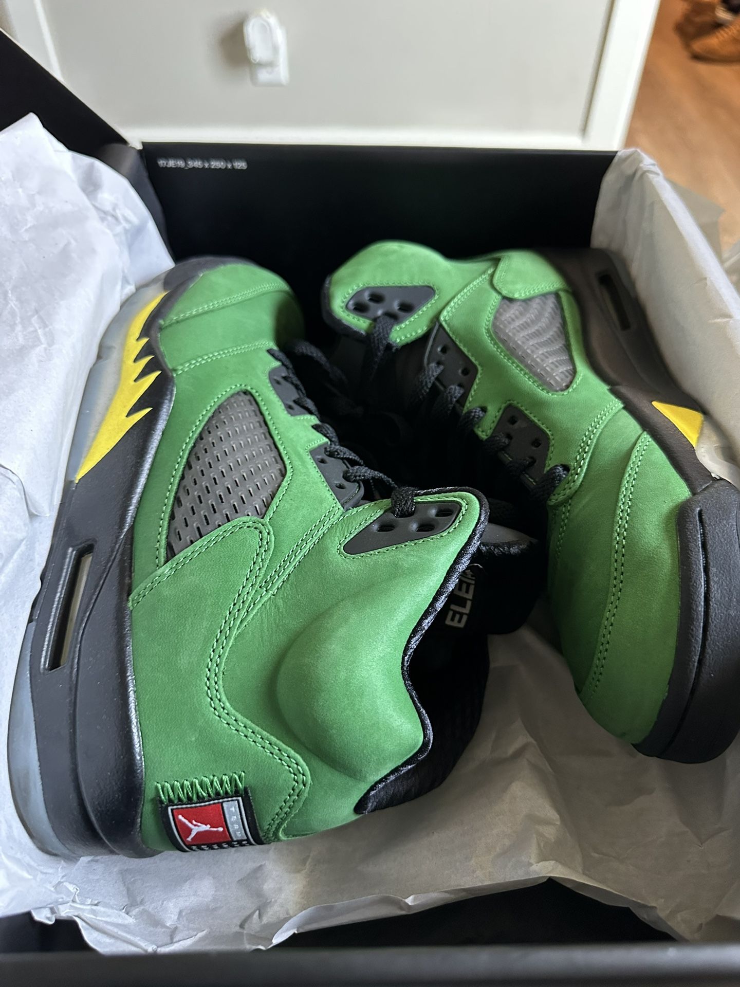 Air Jordan 5 Retro SE