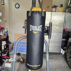 Everlast Punching Bag And Stand