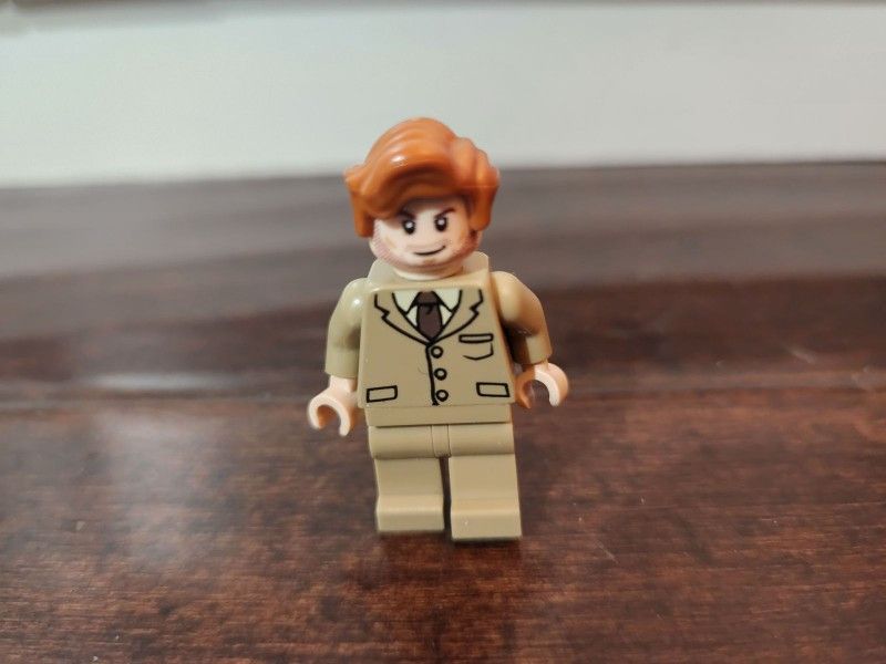 Lego Harry Potter Professor Remas Cupin