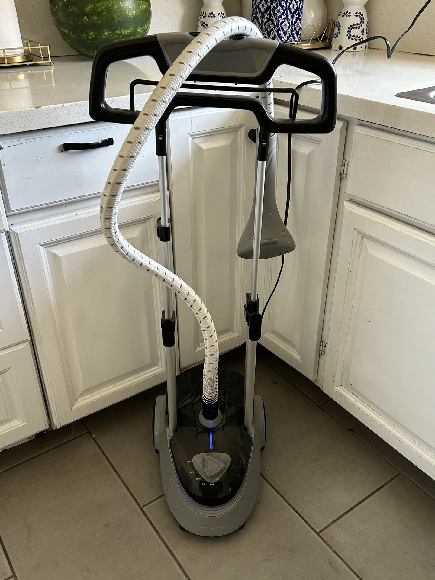 Pure steam Garment Steamer