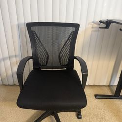 Ergonomic Chair 