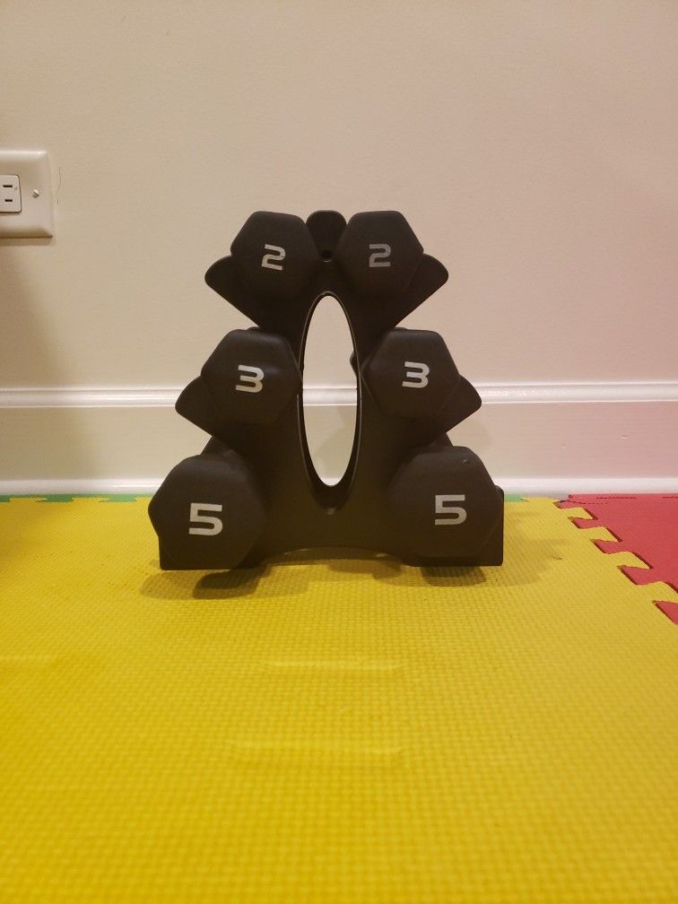 2, 3, and 5 pound weights