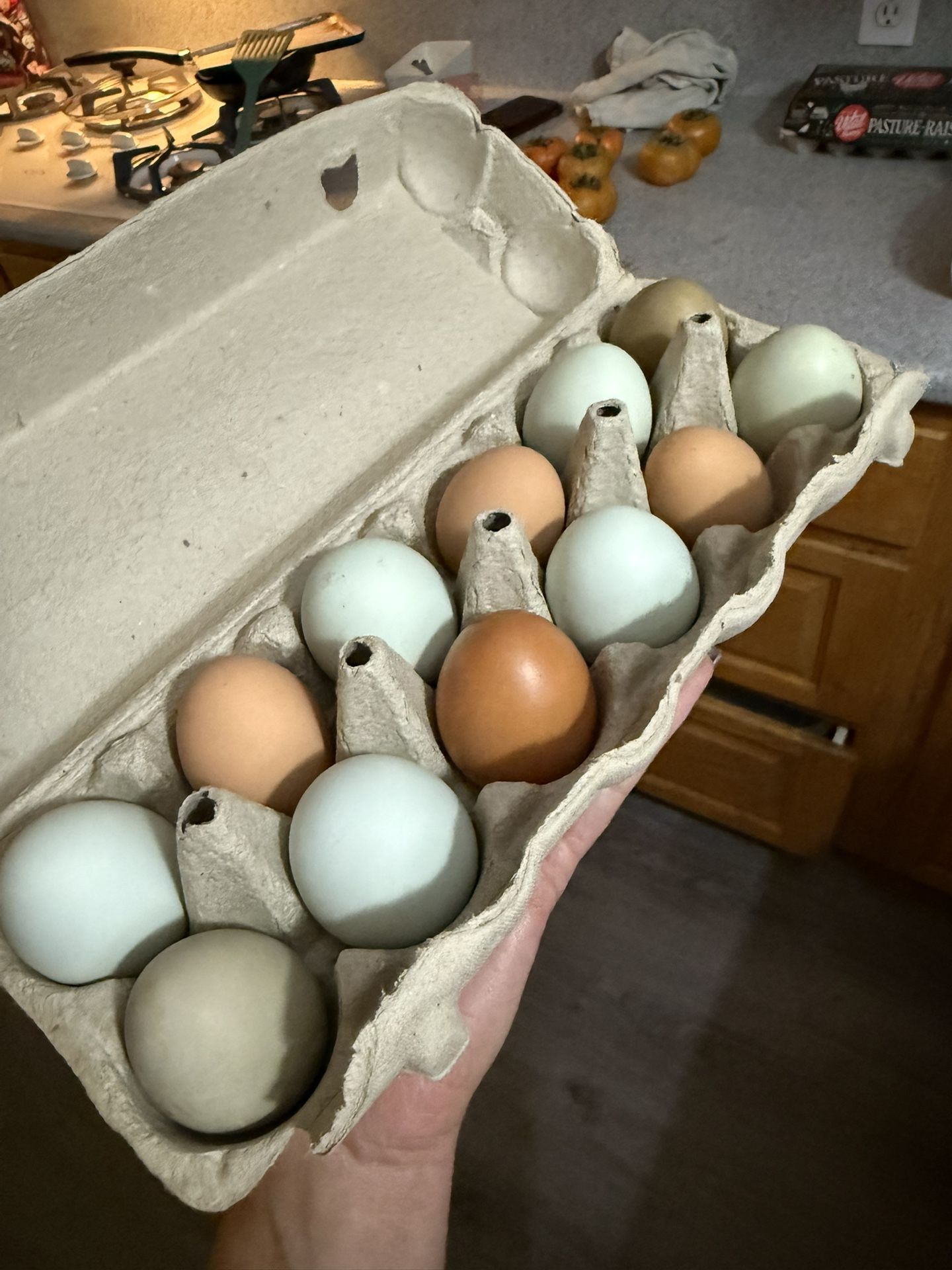 Local Fresh Eggs From Happy Chickens