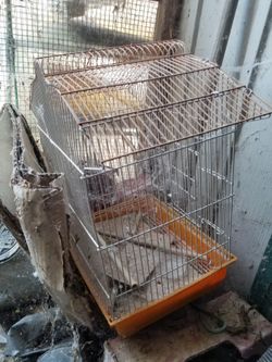 Cage For Sale