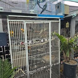 Cages .. Different Prices.