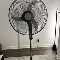 Holmes Standing Oscillating Fan