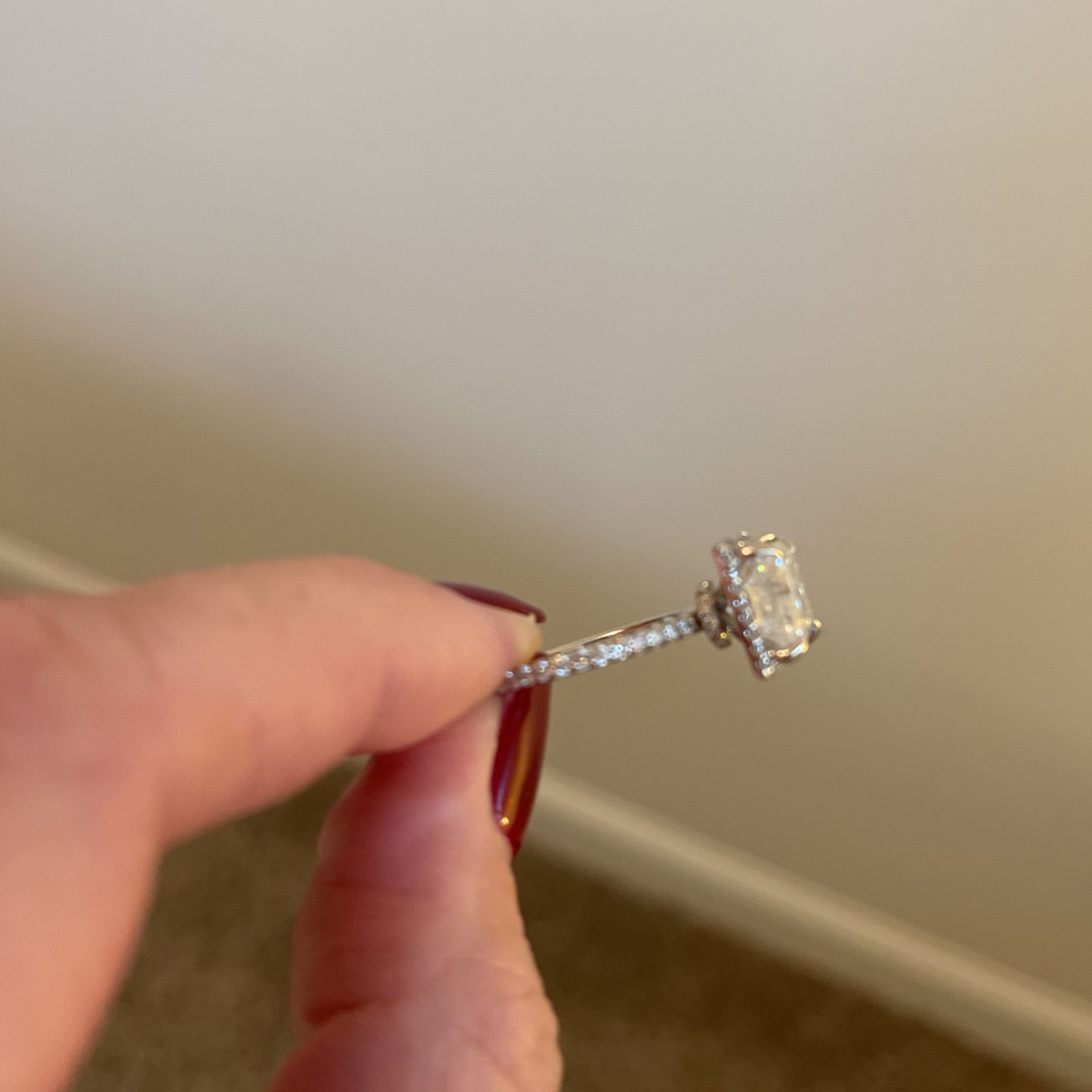 Moissanite Princess Cut Halo Wedding Ring Set