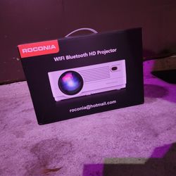 Projector & Projector 100in Screen Combo 