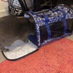 Soft case cat Carrier 