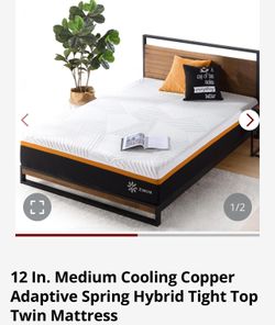 Twin-Complete Bed