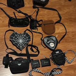 Purses /Wallets /Backpack 