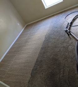 Carpet Steam
