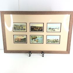 Framed & Matted Vintage Arizona Post Cards