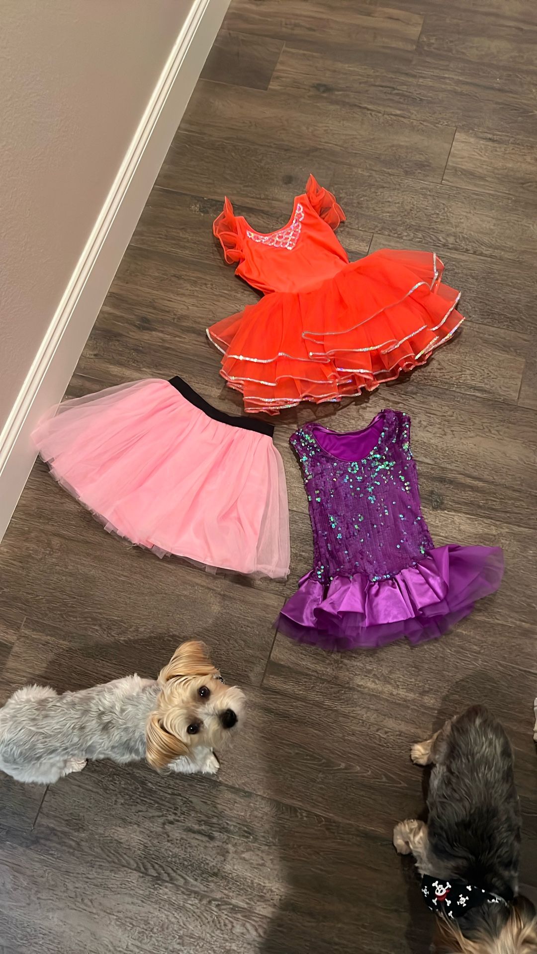 Little Girl Dress Up Clothes (age 3-5)