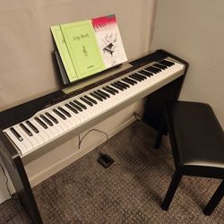 Casio Privia PX-110 digital piano/piano/keyboard 