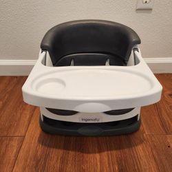 Ingenuity Baby Feeding Seat