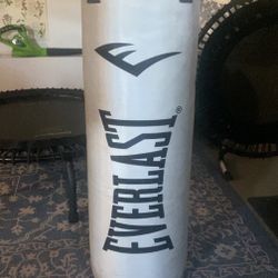 Everlast punching bag