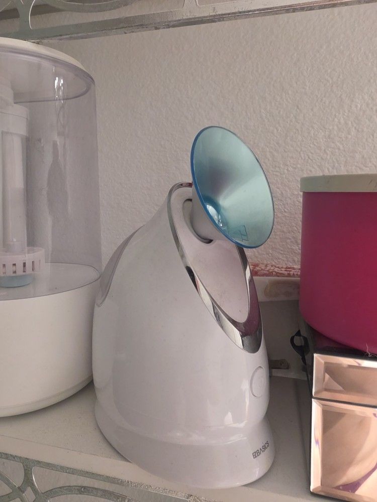 face steamer