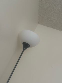 Tall Light