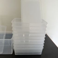 Container Store Shoe Containers 