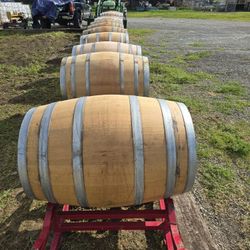 Wine Barrel 