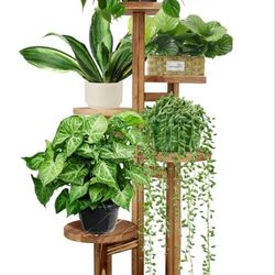  Plant Shelf Corner Display Rack