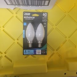 12, 60 Watt vivid natural light bulbs