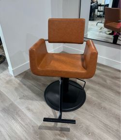 Modern Brown Hydraulic Salon Styling Chair $150 - FIRM