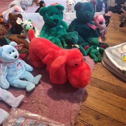Beanie Babies 76 And There's More Items To Go With It And