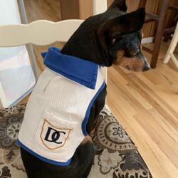 Doggie Outfit For Small Breed, 5/7 Pounds Wright