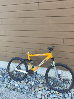 Kona Stinky Dee-Lux Mountain Bike