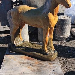 Estatura De Caballo