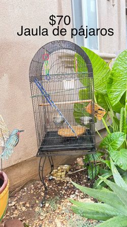 Bird cage
