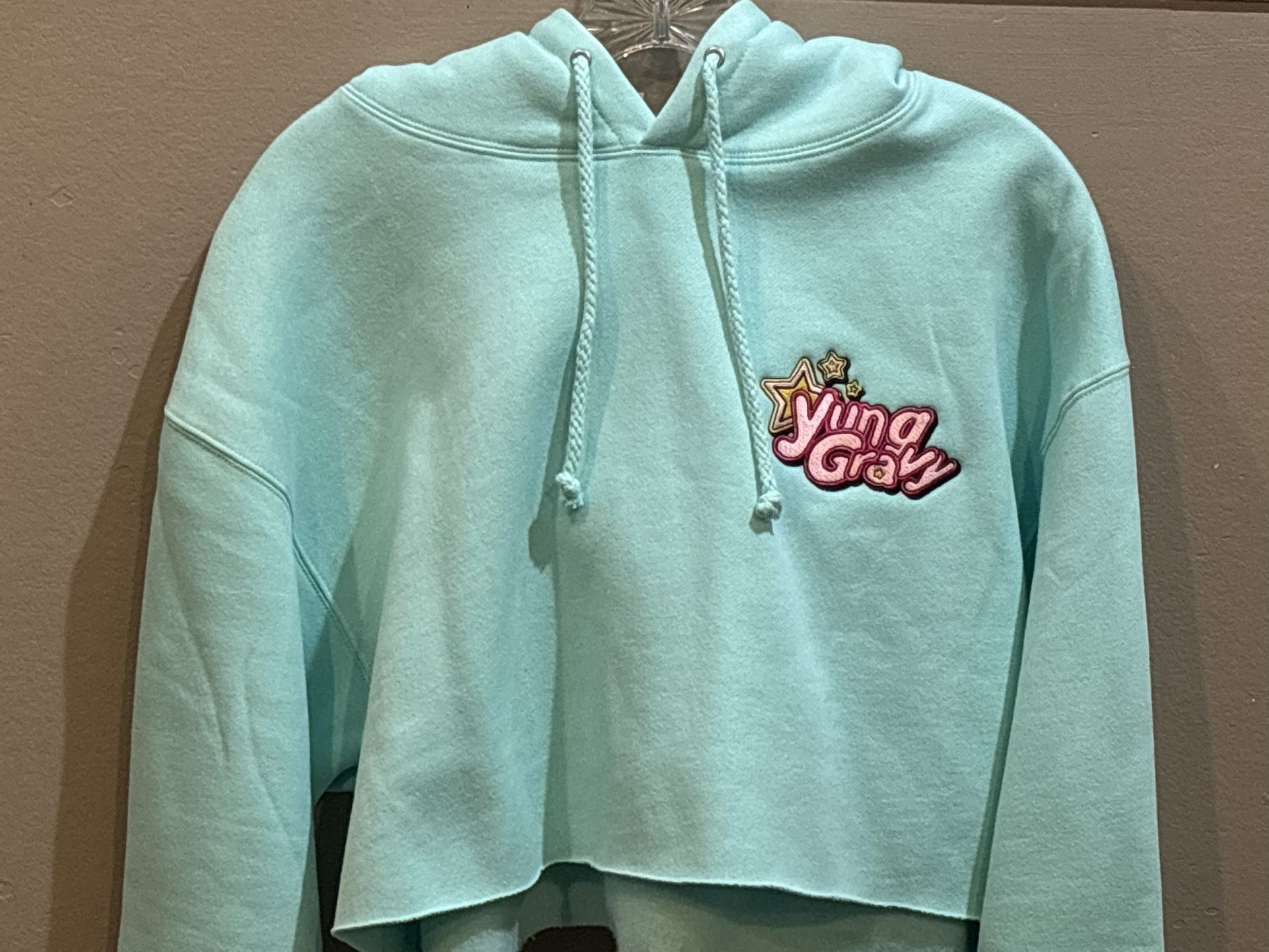Yung Gravy Cropped Hoodie